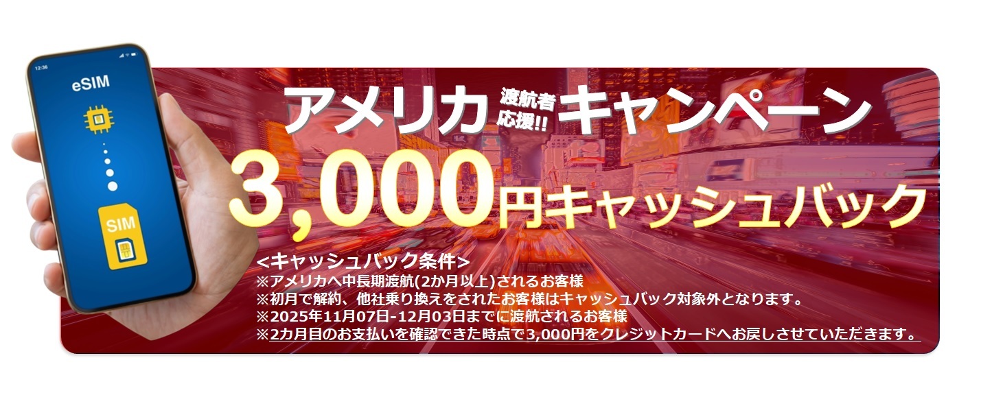 アメリカキャンペーン